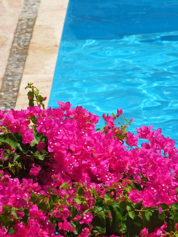 Hotel Villa Berk Fethiye Ngoại thất bức ảnh